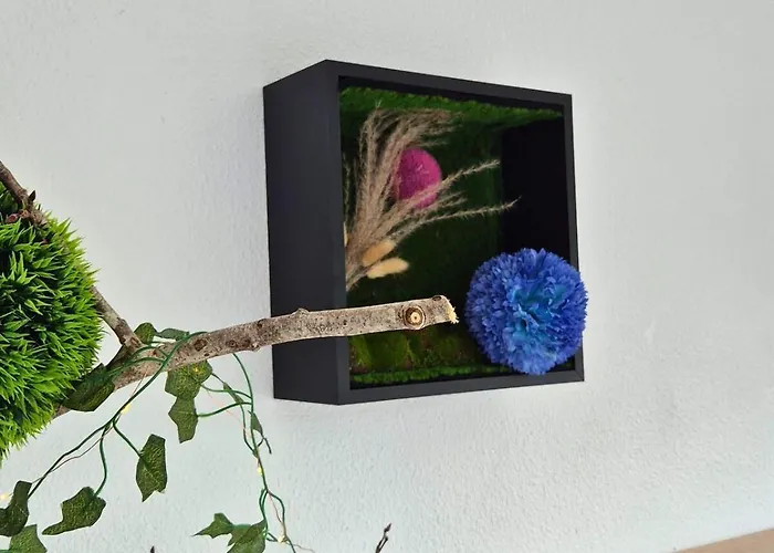 Appartement L'eden - Premium - Vue - Balcon *